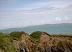 Costal Promontory Fort at Rochestown, Kilbrittain